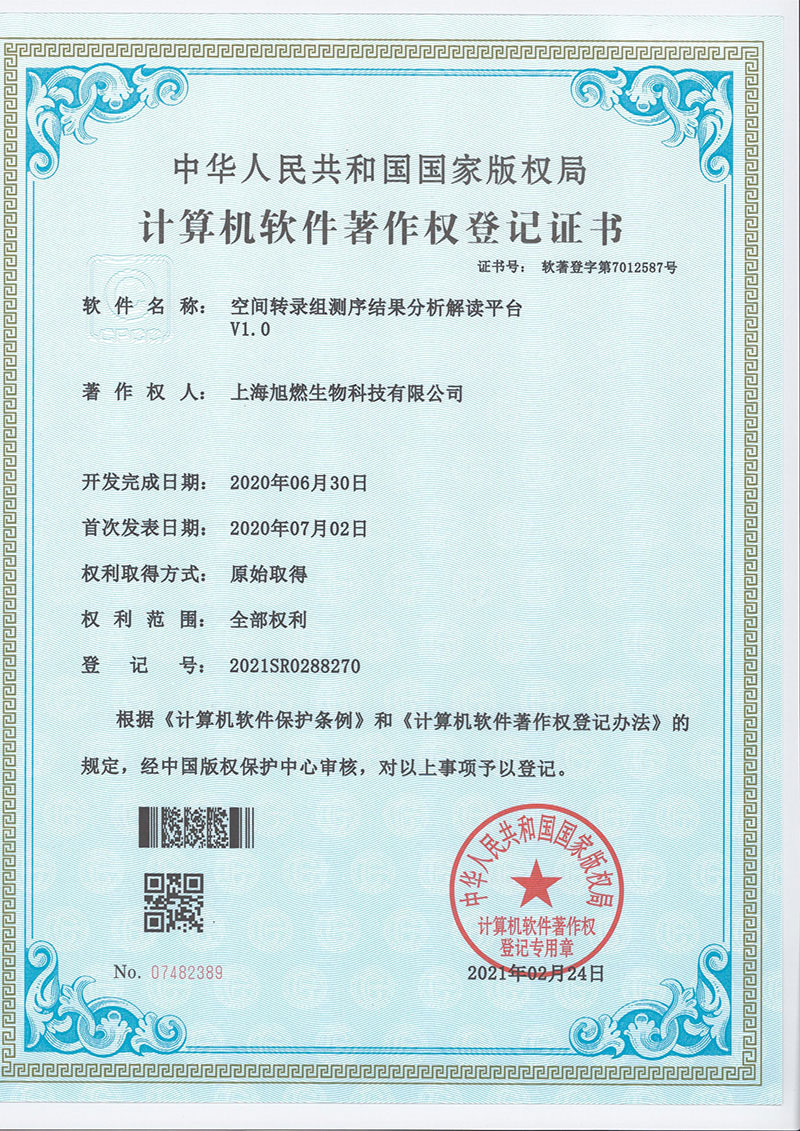 空間轉(zhuǎn)錄組測序結(jié)果分析解讀平臺