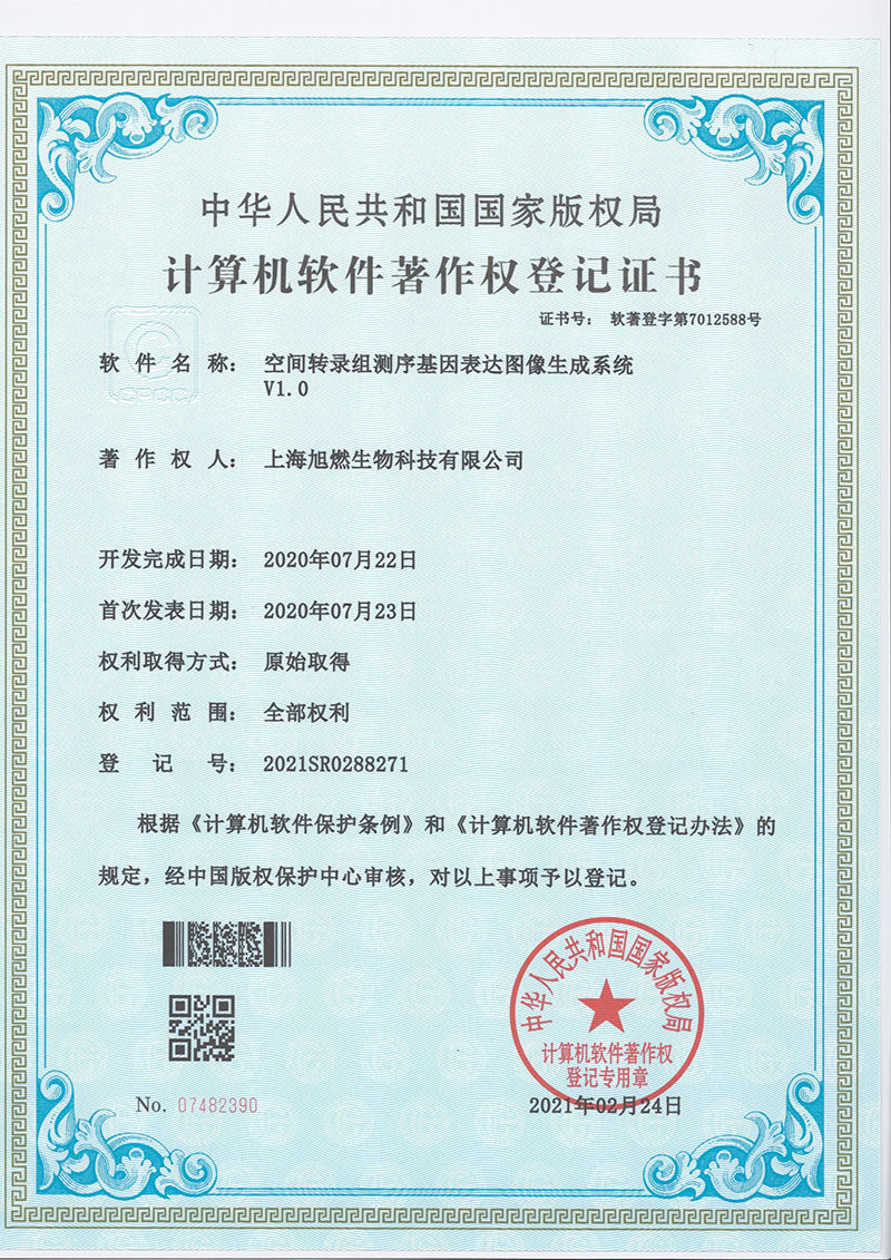 空間轉(zhuǎn)錄組測序基因表達圖像生成系統(tǒng)