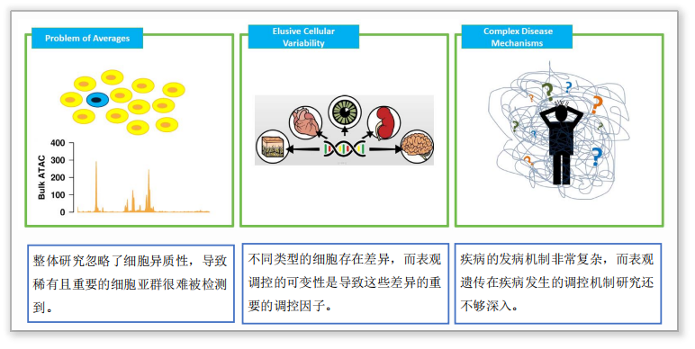 單細胞ATAC測序