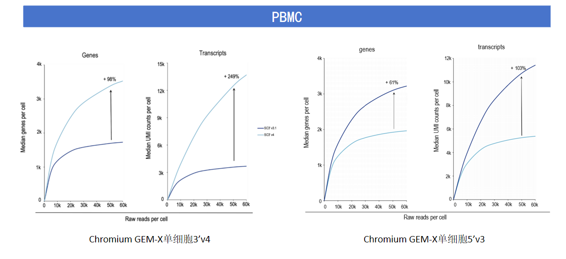 GEM-X單細胞測序方案